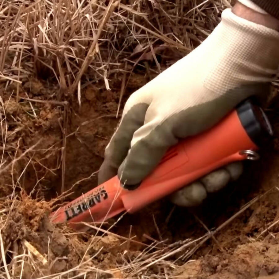 PRO POINTER AT GARRETT - PINPOINTER